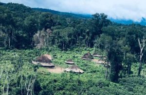 Denuncian asesinato de dos indígenas Yanomami en Brasil: Organizaciones temen escalada de violencia