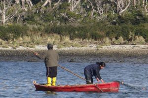 Salmoneras en Chile: la defensa de la Reserva Nacional Kawésqar