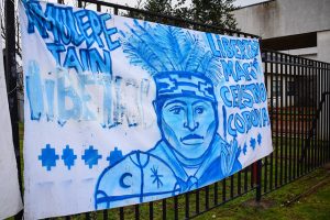 Colegio Médico por huelgas de hambre de presos mapuche: "La alimentación forzada nunca es éticamente aceptable"