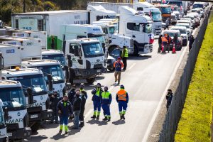 Paro de transportistas: Camionero muere atropellado en la Ruta 5 Sur