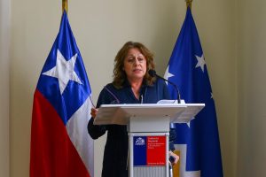 Tras cuestionamiento público de ministro Paris, Seremi de Salud de Magallanes renuncia a su cargo