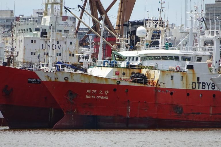 Fotos | La ruta de las flotas chinas pesqueras y sus antecedentes ilegales