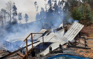 Arauco: En nuevo ataque incendiario queman cuatro cabañas en Lago Lanalhue
