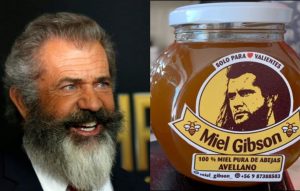 REDES| Mel Gibson amenaza con demandar a twittera que creó la “Miel Gibson”: Se ganó el repudio de los chilenos