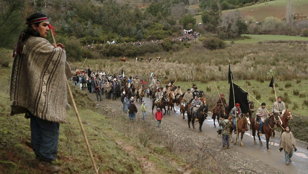 Opinión | Solidaridad con los comuneros en huelga de hambre en una historia inmóvil aún, entre el Sector Forestal y el Pueblo Mapuche