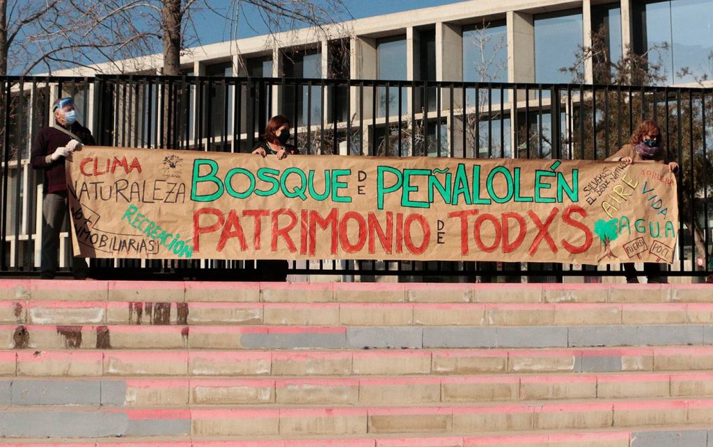Peñalolén: Vecinos realizan manifestación exigiendo detener tala de bosque nativo de la comuna