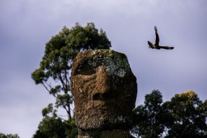 Rapa Nui clama por ayuda: Pan cuesta $3.500 el kilo, bandeja de huevos 12 mil y empleo está en 58%