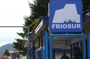 Histórico: Trabajadores de pesquera Friosur pasan a ser dueños del 20% de la empresa