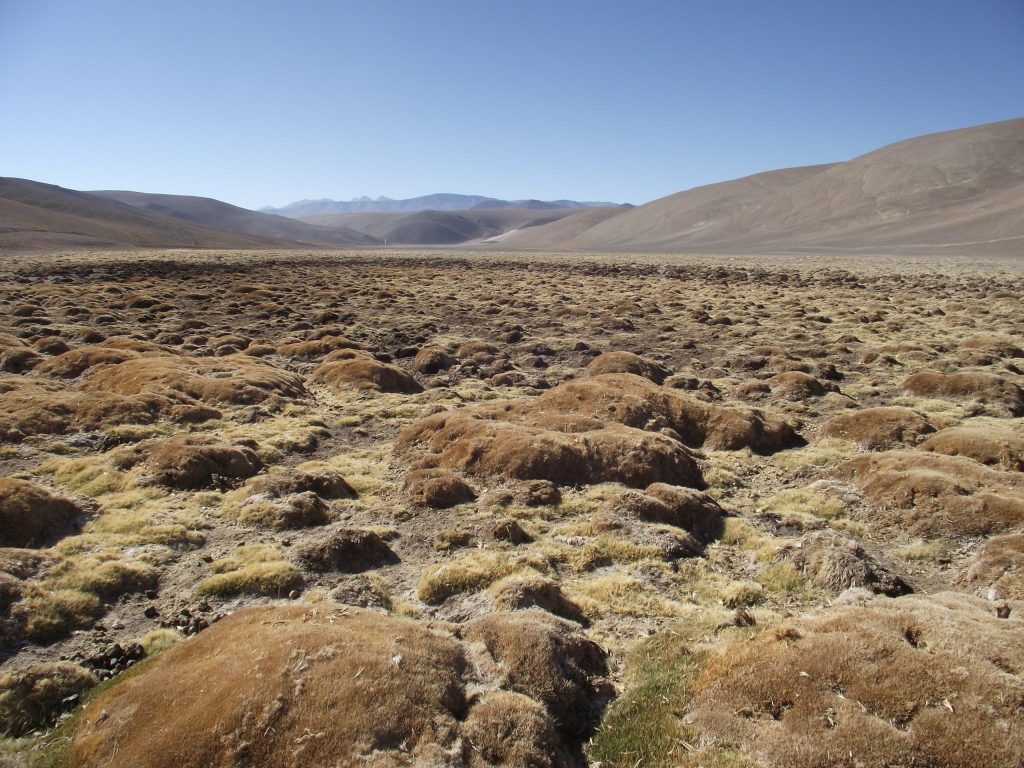 Análisis | ¿Qué ocurre con la fiscalización ambiental en Chile?
