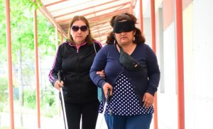 Plebiscito 2020: ¿Cómo deben votar las personas con discapacidad visual?