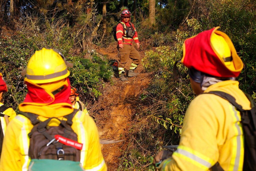 CONAF trabaja a toda marcha en la realización de cortafuegos ante llegada de temporada de incendios forestales