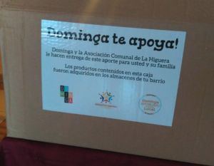 Contraloría rechaza donación de Dominga al municipio de La Higuera y apoyo político del CORE de Coquimbo al proyecto