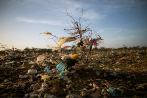 El 24% de los plásticos contaminantes cuyo origen se puede rastrear es de cinco empresas