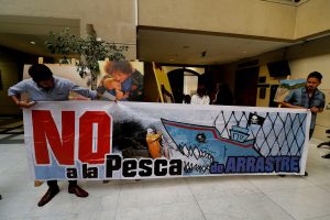 Ley de Pesca: Gobierno de Piñera acudirá nuevamente al TC para evitar que se anule