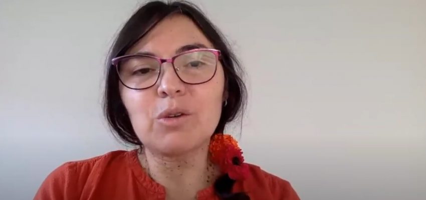 VIDEO| Alejandra Matus y ataque a equipo de TVN en Tirúa: “La confianza en las instituciones está en juego”