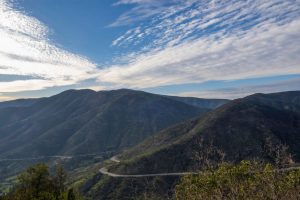 Sin evaluación ambiental: Ampliación de ruta F20 Nogales-Puchuncaví está destruyendo vertientes, humedal y flora nativa