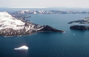 Tres cosas que debes saber sobre la especie invasora que amenaza a la Antártida