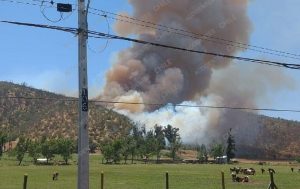 Onemi declara Alerta Roja para Melipilla y Olmué por dos incendios forestales fuera de control