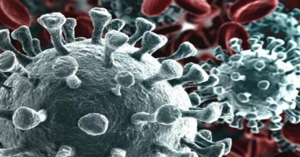 OMS llama a la calma: Sudáfrica informa que detectó nueva cepa del coronavirus distinta a la del Reino Unido