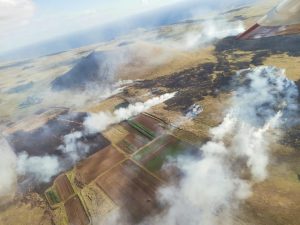 Rapa Nui: Incendio forestal con varios focos afecta a la isla