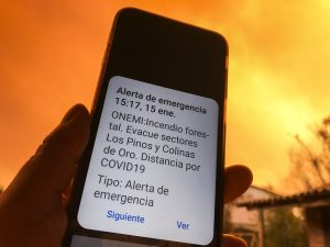 Incendio forestal: Las dramáticas imágenes que está dejando el siniestro en Quilpué