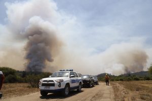 Incendios forestales: Presentan proyecto que obliga al Estado a recuperar bosques siniestrados