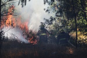ONEMI ordena evacuar Sierras de Bellavista por incendio forestal en San Fernando