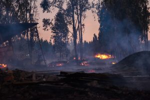 Collipulli: Con medios terrestre y aéreos Conaf combate incendio forestal