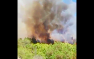 Incendio forestal: Declaran Alerta Roja para la comuna de Monte Patria
