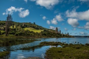 Chiloé: Aprueban creación de cuatro nuevos santuarios de la naturaleza