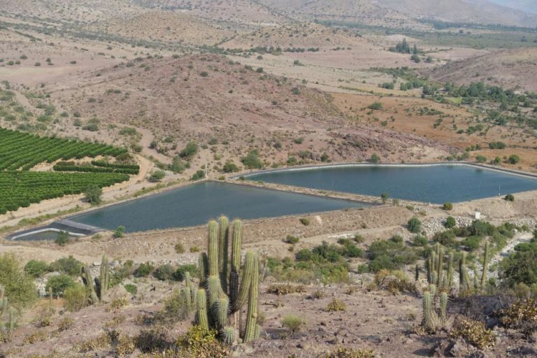 La propiedad del agua no se toca: La propuesta de Chile Vamos para un acuerdo constitucional
