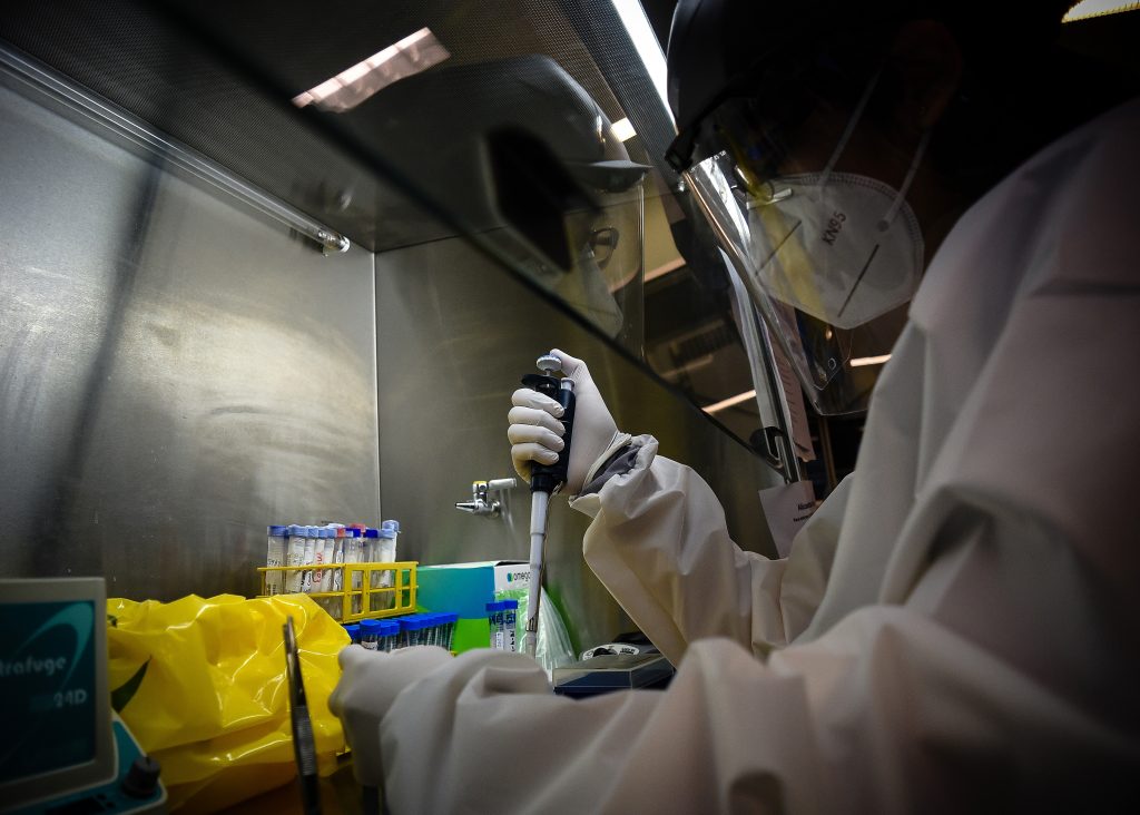 Científicos en alerta: Detectan primer caso de gripe aviar en un ser humano