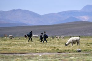 Cosificación del migrante en Chile y posibilidad de interacción