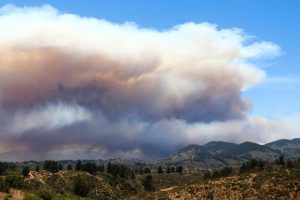 Incendio forestal en lago Peñuelas se mantiene con seis focos activos y ministra acusa intencionalidad
