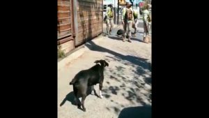 VIDEO | Captan agresión de personal del Ejército a ciclista en Puente Alto: Testigos indican que fue sin provocación