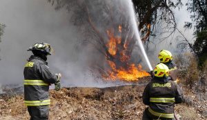 Comisión de Medio Ambiente aprueba proyecto que prohíbe construir en terrenos afectados por incendios forestales