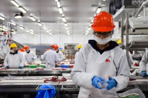 “Trabajo decente”: una salida plausible frente la crisis laboral