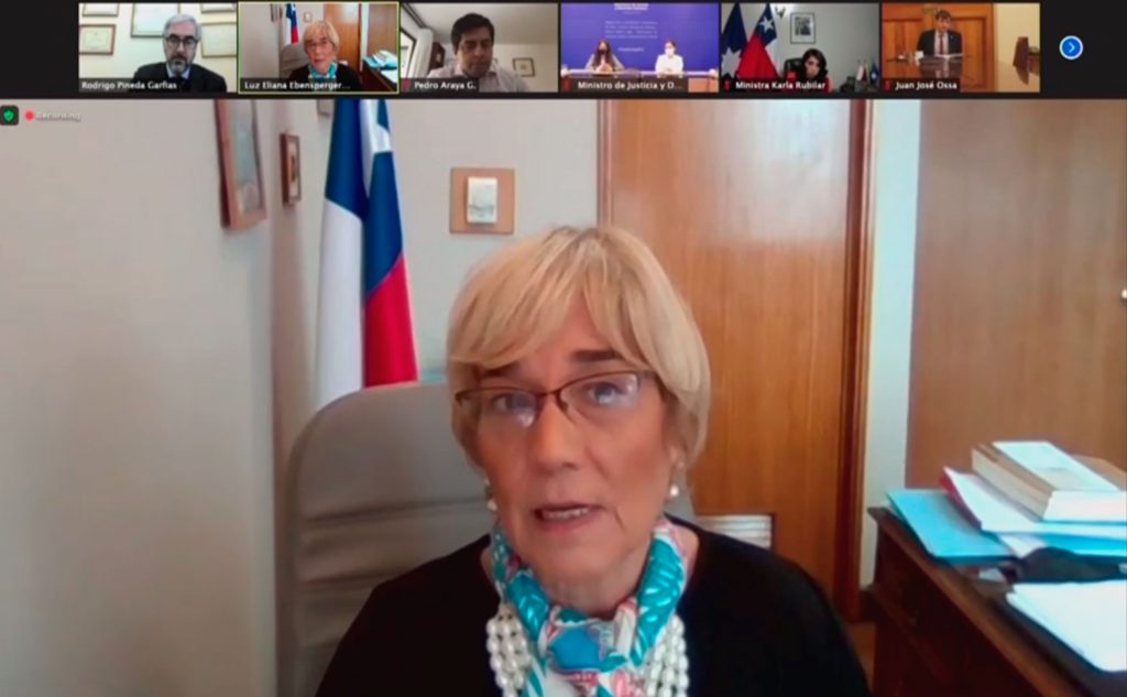 VIDEO| Senadora Luz Ebensperger: “La filiación homoparental no está permitida por la biología”