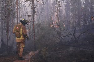 Onemi declara Alerta Roja en Rapa Nui por incendio forestal