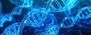 OMS emite sus primeras recomendaciones sobre la manipulación del genoma humano