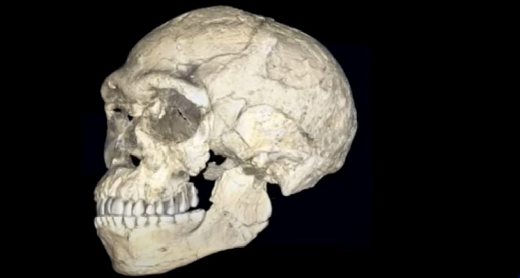 Un hueso de 51.000 años revela la capacidad simbólica de los neandertales