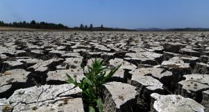 Gobierno extiende decreto de "emergencia hídrica" en 231 comunas del país