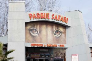 Empleadas del zoológico Parque Safari desmintieron versión del gerente sobre muerte de trabajadora