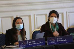 Convención Constitucional: Comisión de Descentralización tendrá audiencias en Arica, Ovalle, San Carlos y Ancud