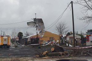 VIDEOS| Paso de tornado en Tucapel deja caídas de árboles, voladuras de techos y al menos 30 familias afectadas