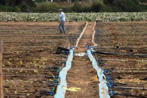 Gobierno anunció emergencia agrícola en la Región Metropolitana y presentan "Plan contra la Sequía"