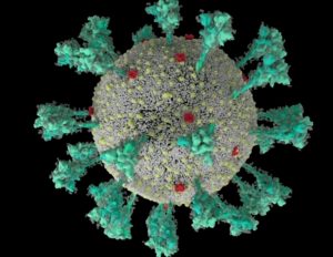 Detectan el primer caso de "flurona", una infección de coronavirus y gripe