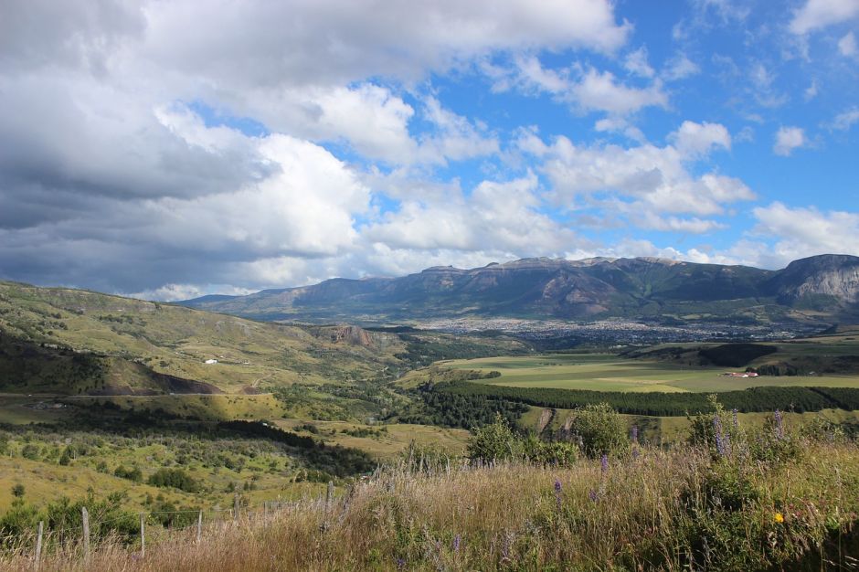 OPINIÓN | Millones de nuevos pinos en Aysén: ¿Y la política de suelo dónde está?