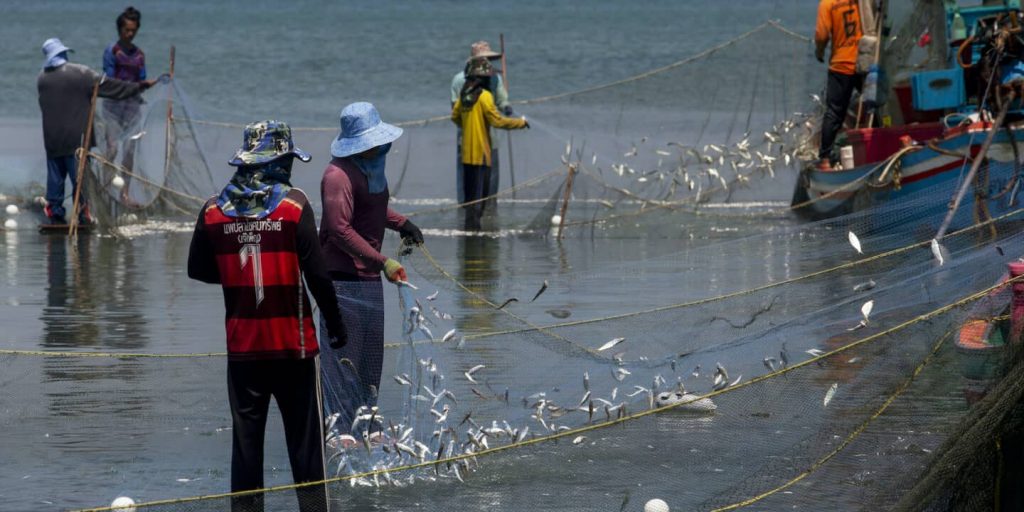 OMC se acerca a un acuerdo sobre subsidios a la pesca