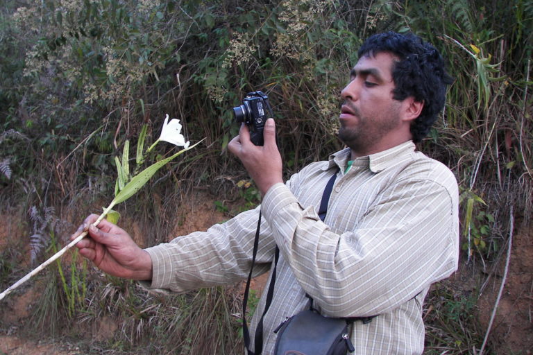 «Cerca de un tercio de la flora de los Andes no ha sido descrita» | Entrevista